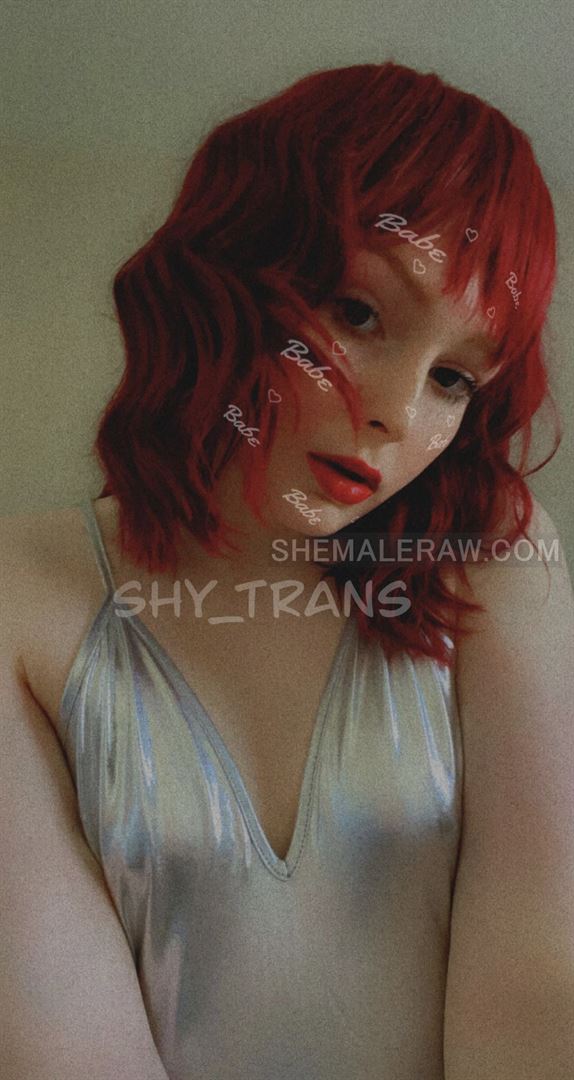 Shy Trans